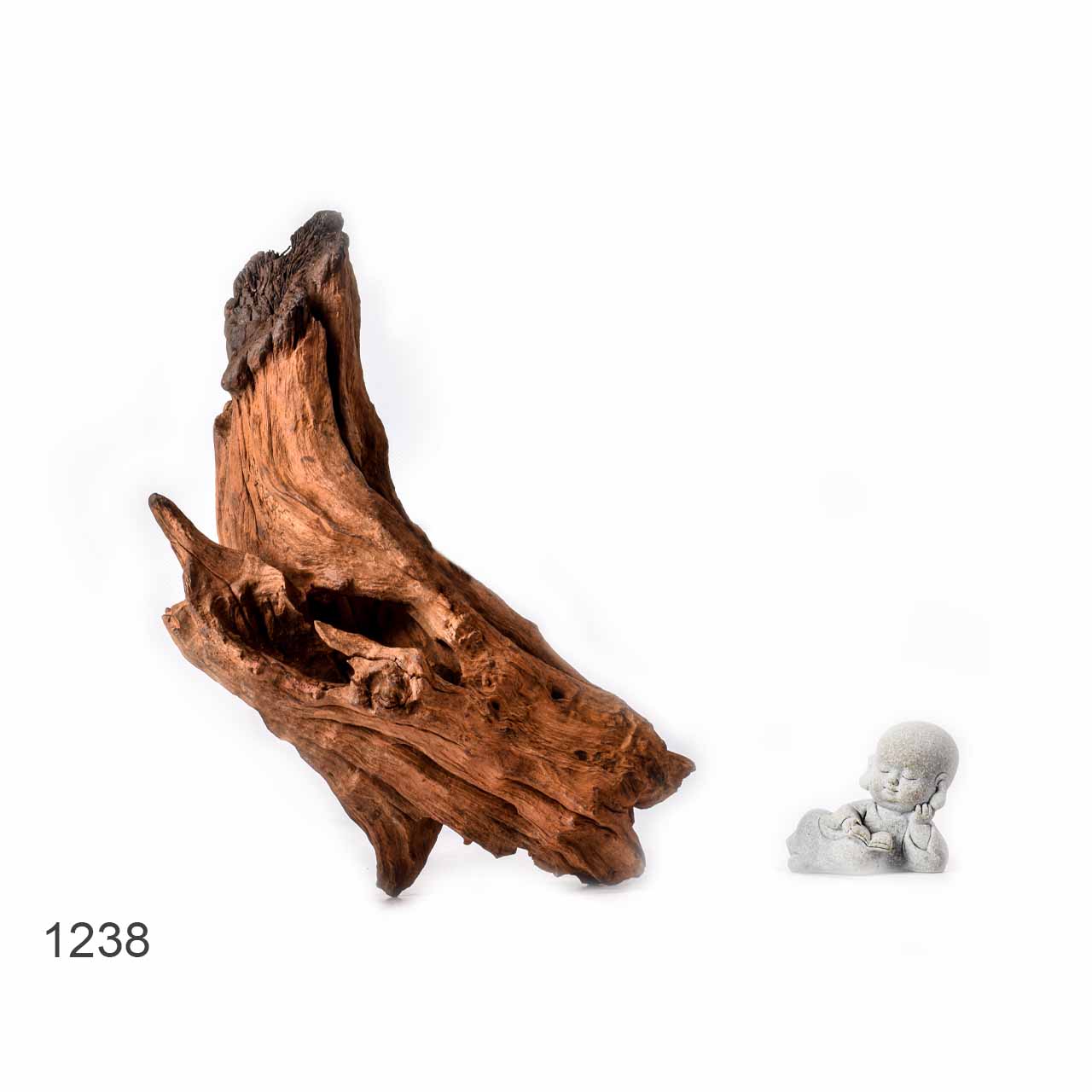 Коряга MASHA BLOOM "Железное дерево" затонувшая мангровая L - 1238