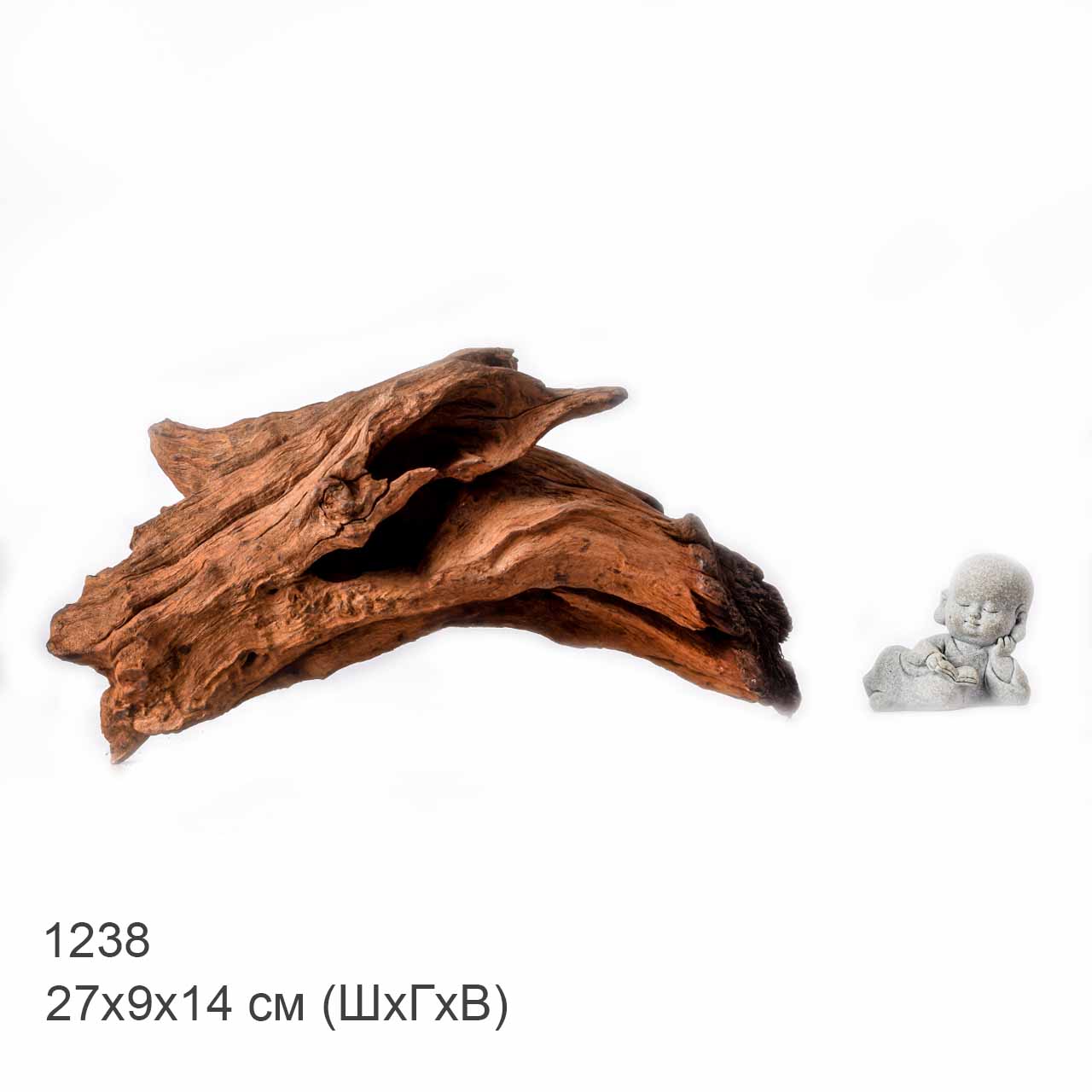 Коряга MASHA BLOOM "Железное дерево" затонувшая мангровая L - 1238