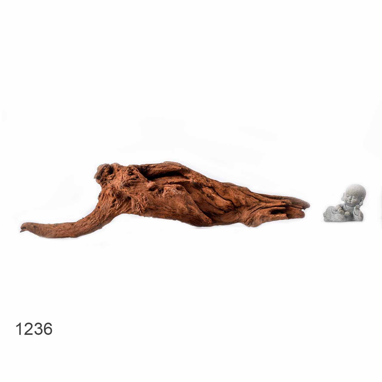 Коряга MASHA BLOOM "Железное дерево" затонувшая мангровая L - 1236