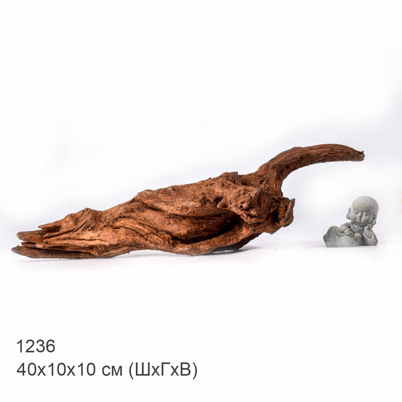 Коряга MASHA BLOOM "Железное дерево" затонувшая мангровая L - 1236