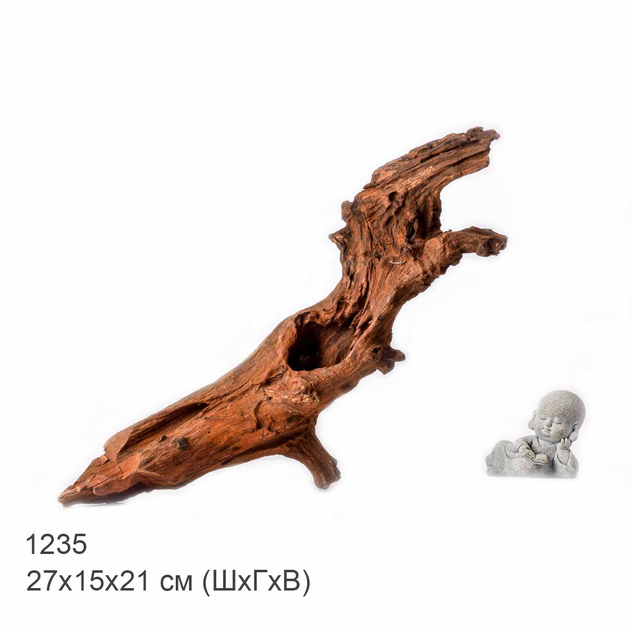 Коряга MASHA BLOOM "Железное дерево" затонувшая мангровая L - 1235