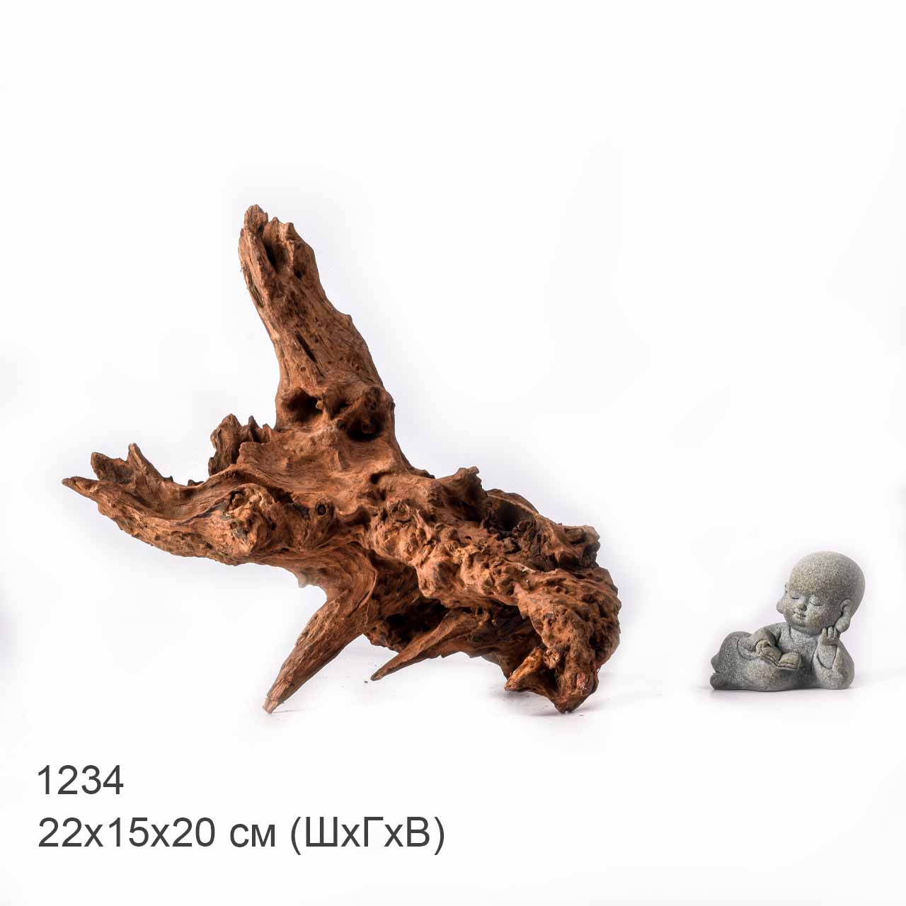 Коряга MASHA BLOOM "Железное дерево" затонувшая мангровая L - 1234