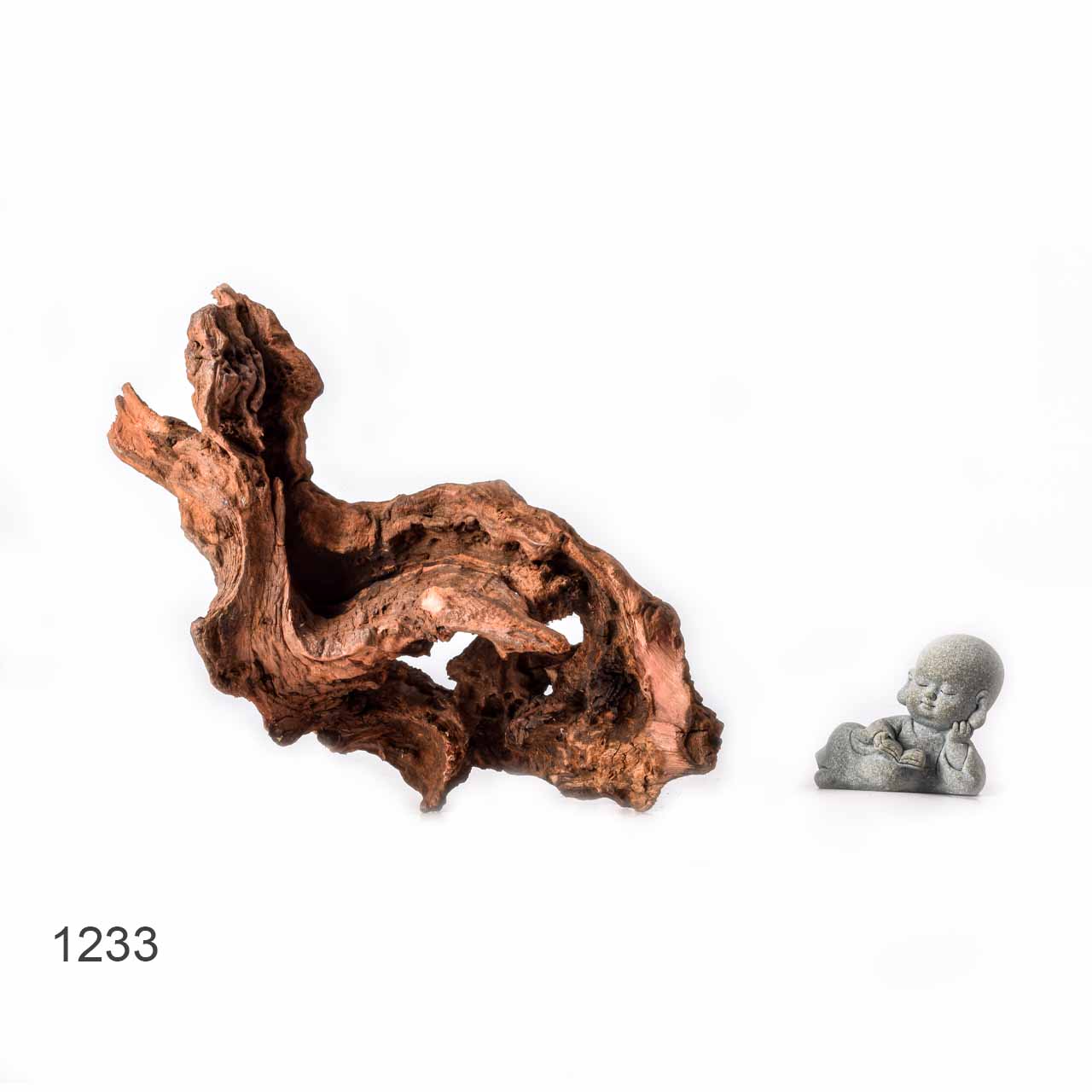 Коряга MASHA BLOOM "Железное дерево" затонувшая мангровая L - 1233