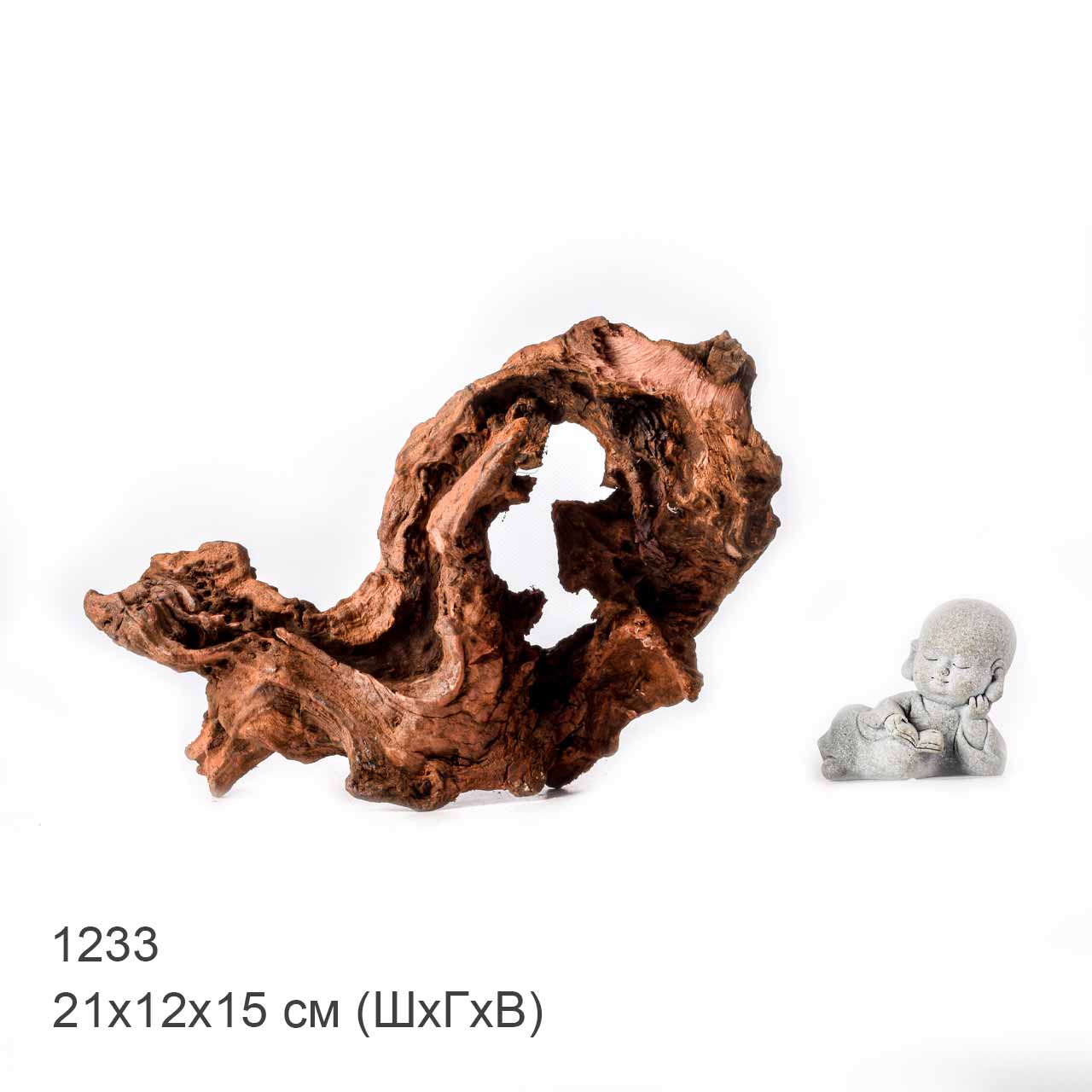 Коряга MASHA BLOOM "Железное дерево" затонувшая мангровая L - 1233