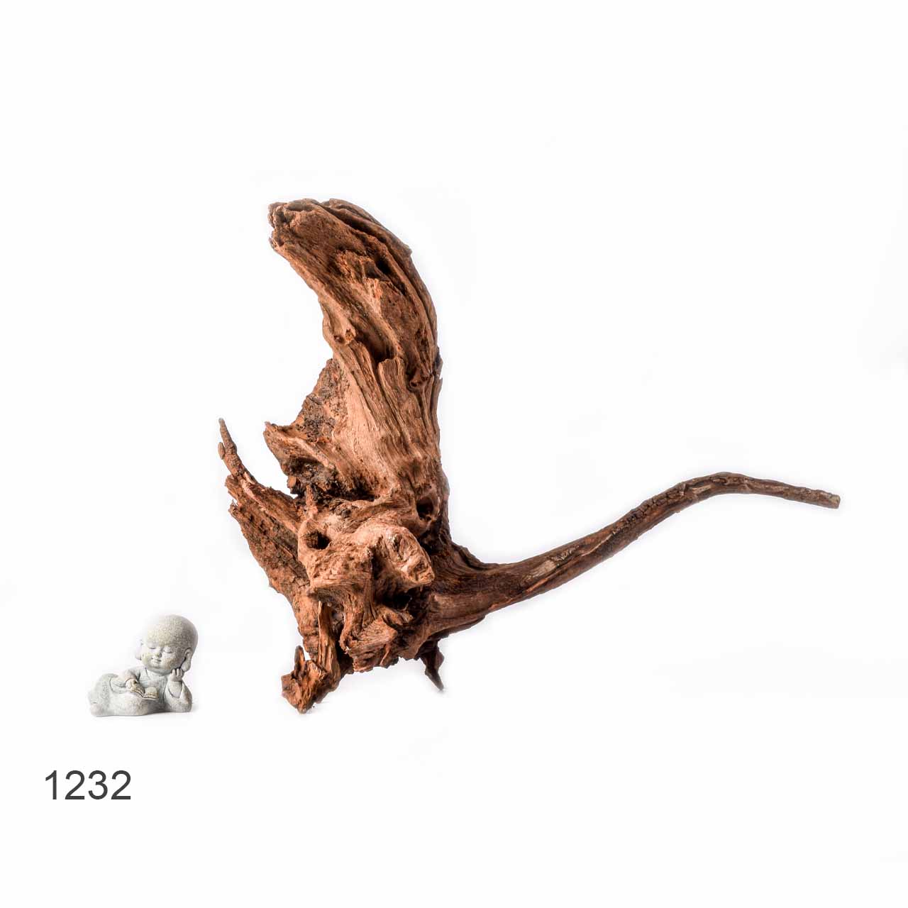 Коряга MASHA BLOOM "Железное дерево" затонувшая мангровая L - 1232