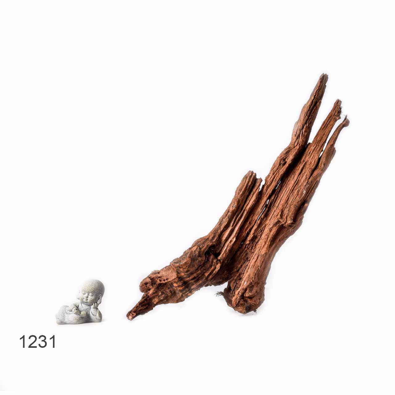 Коряга MASHA BLOOM "Железное дерево" затонувшая мангровая L - 1231