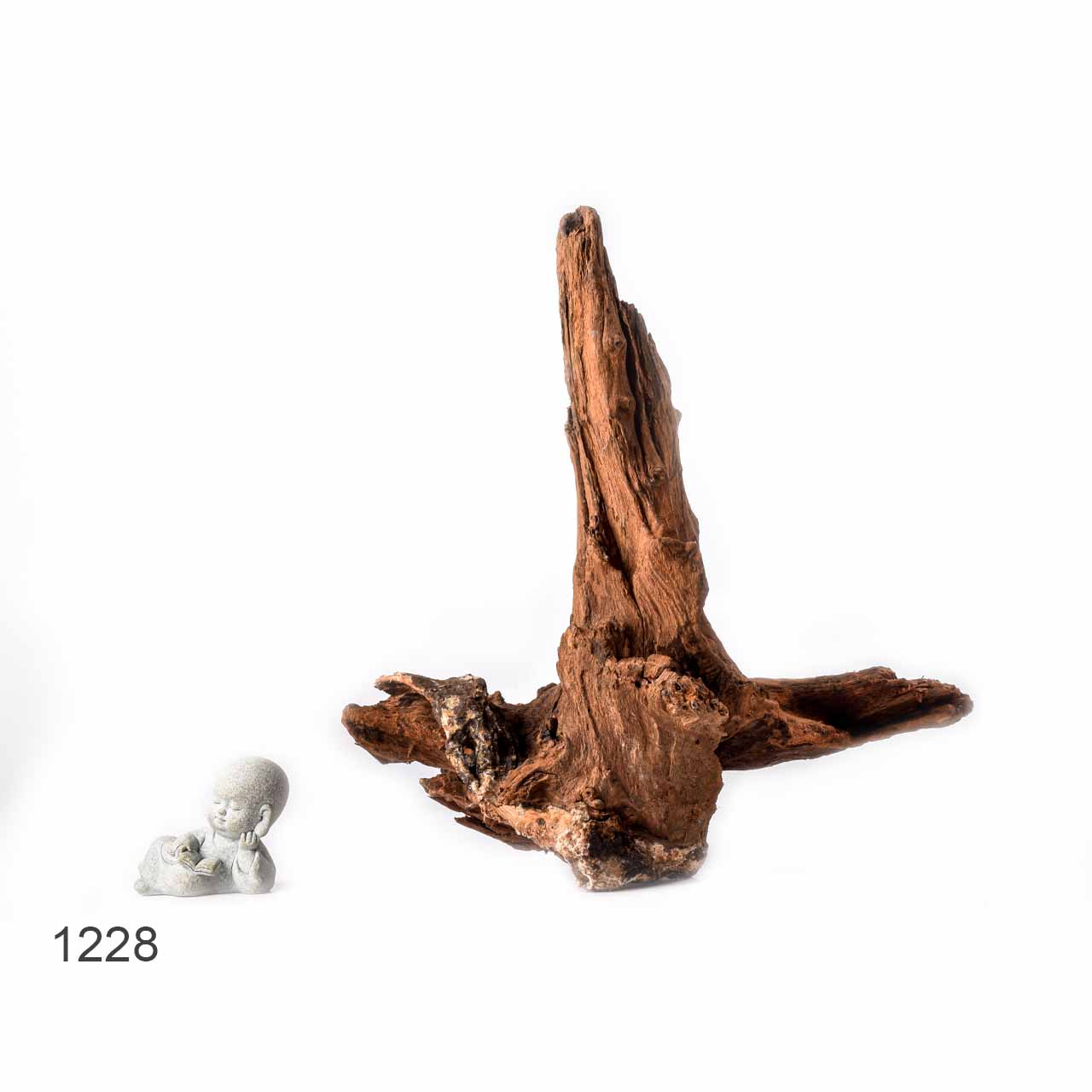 Коряга MASHA BLOOM "Железное дерево" затонувшая мангровая L - 1228