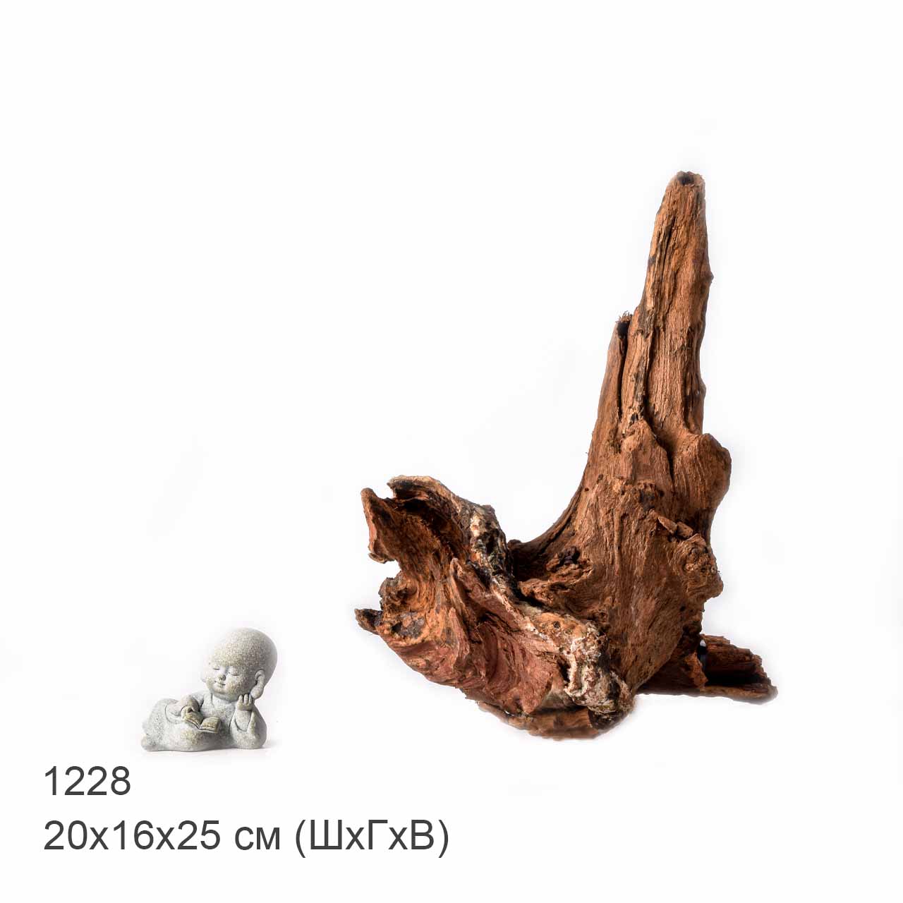 Коряга MASHA BLOOM "Железное дерево" затонувшая мангровая L - 1228