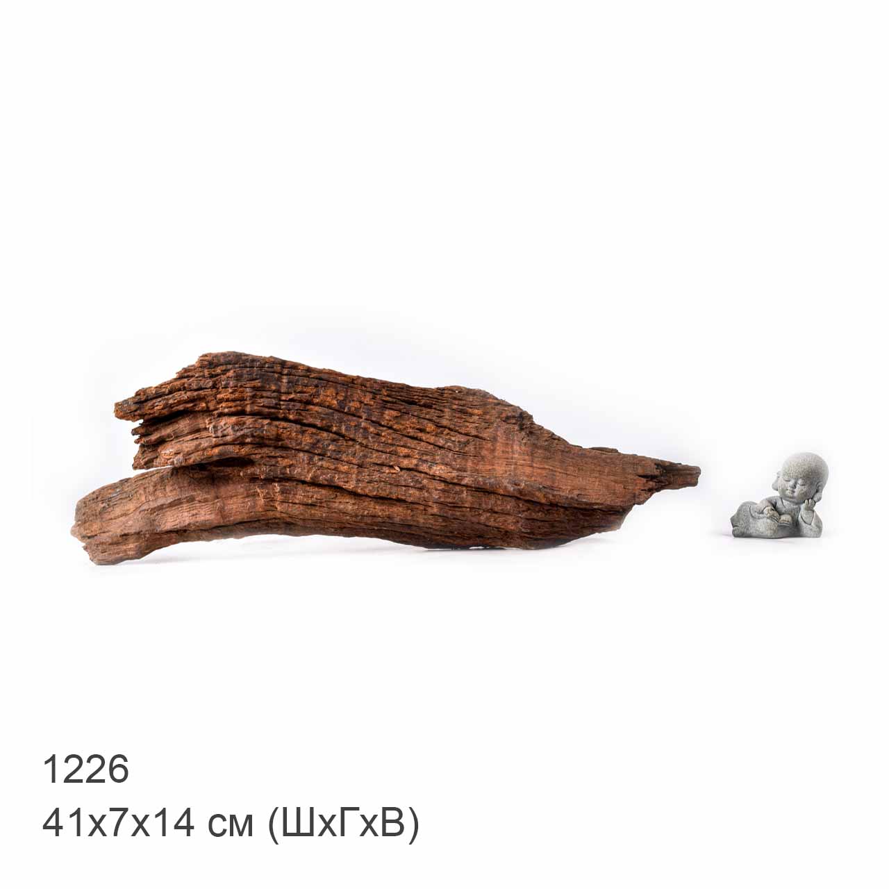 Коряга MASHA BLOOM "Железное дерево" затонувшая мангровая L - 1226