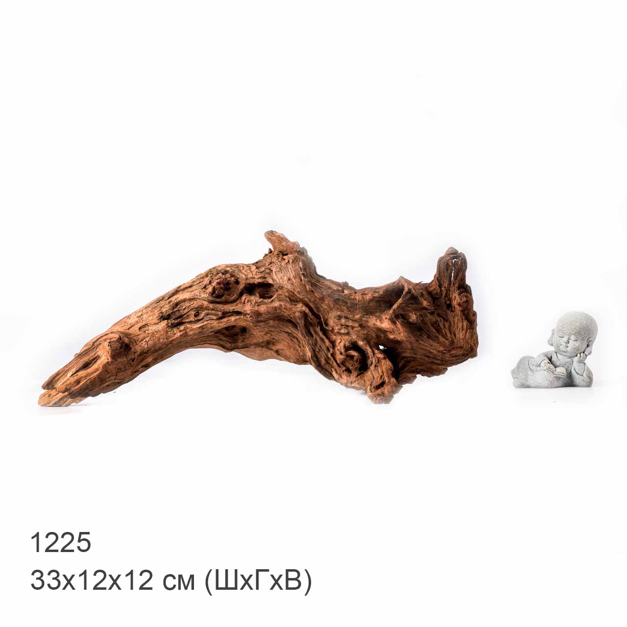 Коряга MASHA BLOOM "Железное дерево" затонувшая мангровая L - 1225