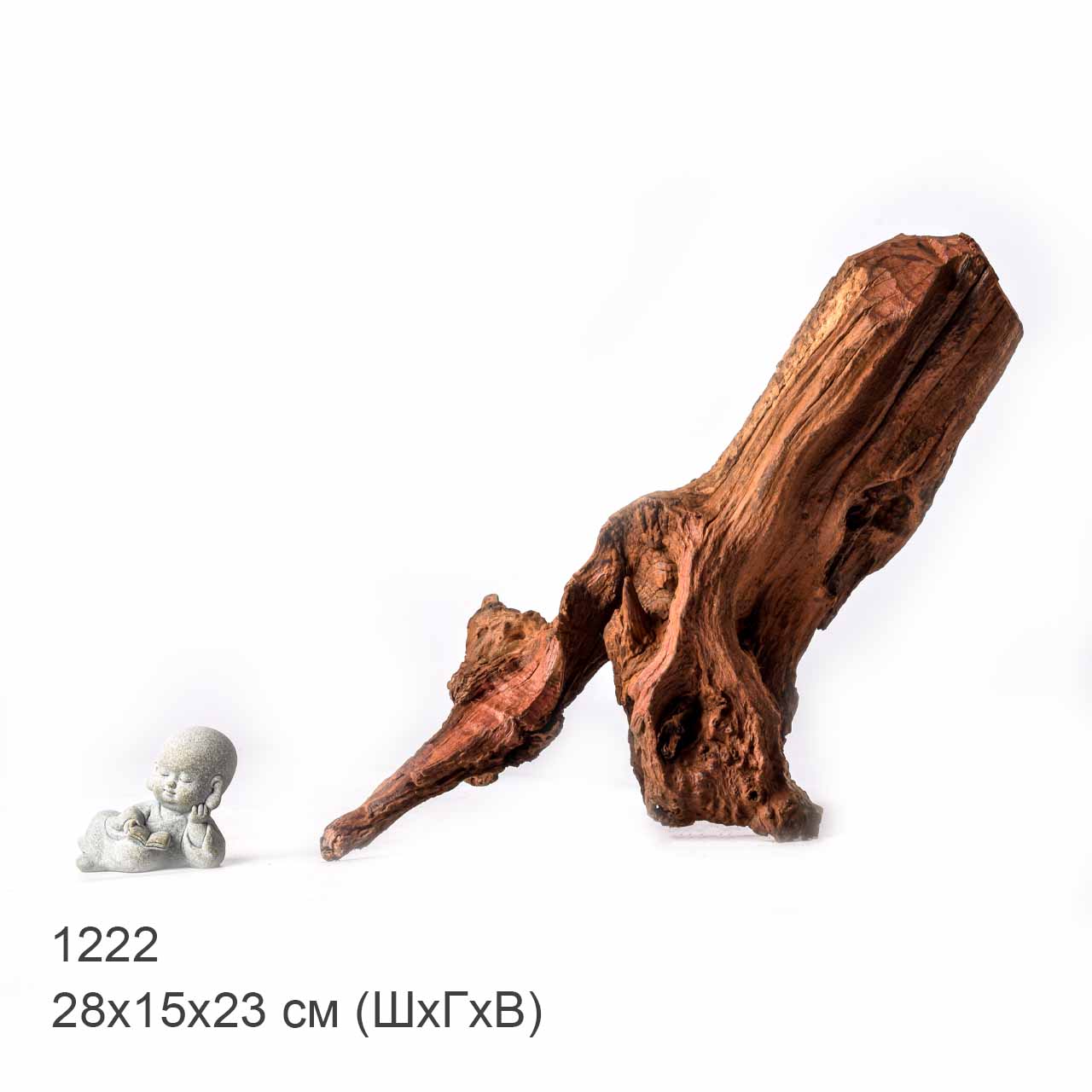 Коряга MASHA BLOOM "Железное дерево" затонувшая мангровая L - 1222