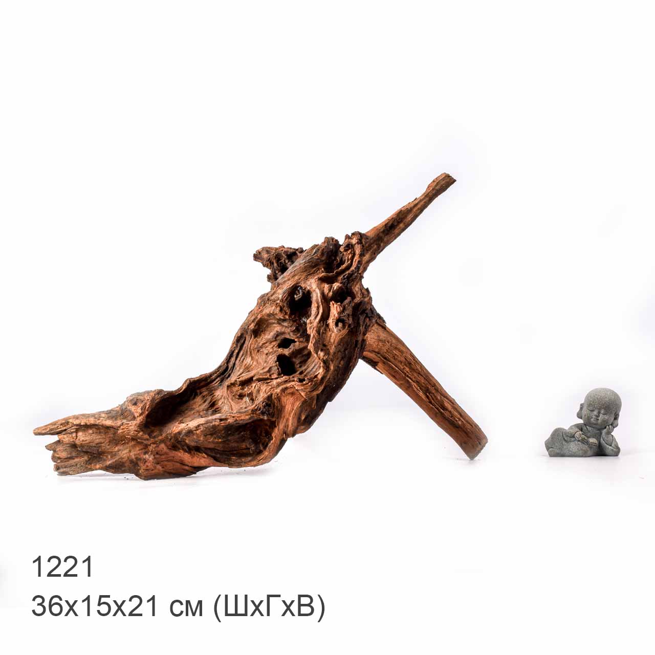 Коряга MASHA BLOOM "Железное дерево" затонувшая мангровая L - 1221