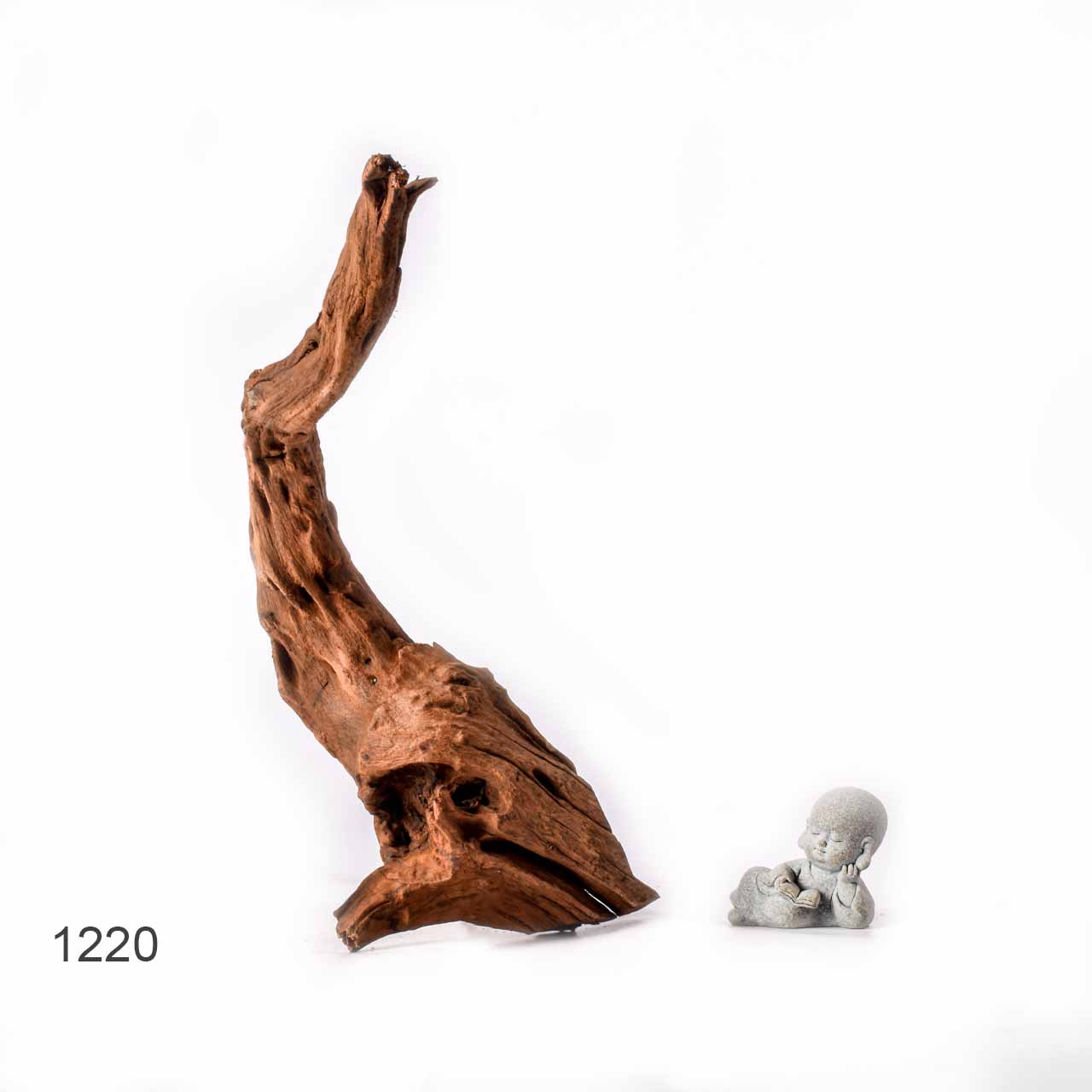 Коряга MASHA BLOOM "Железное дерево" затонувшая мангровая L - 1220