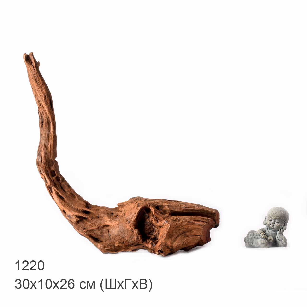 Коряга MASHA BLOOM "Железное дерево" затонувшая мангровая L - 1220