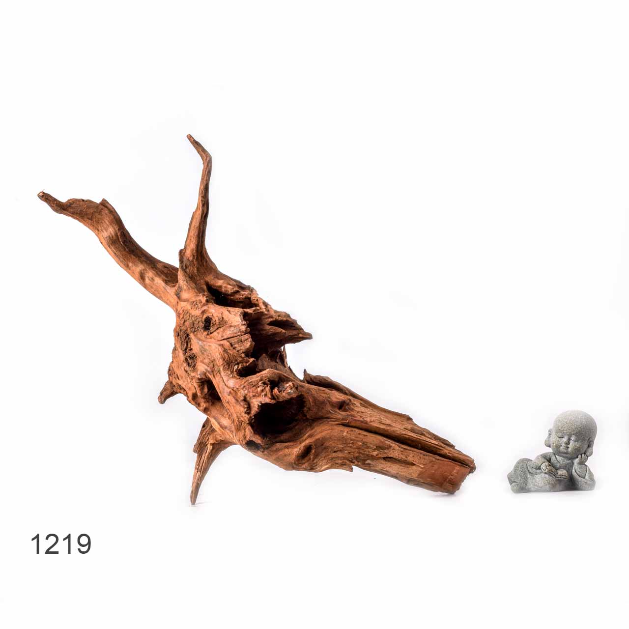 Коряга MASHA BLOOM "Железное дерево" затонувшая мангровая L - 1219