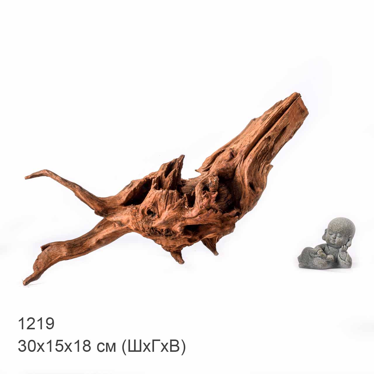 Коряга MASHA BLOOM "Железное дерево" затонувшая мангровая L - 1219