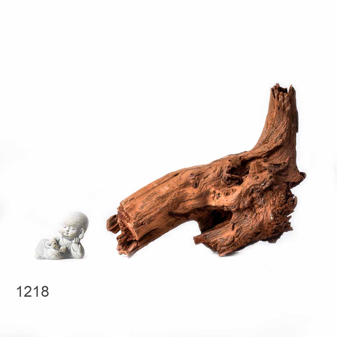 Коряга MASHA BLOOM "Железное дерево" затонувшая мангровая L - 1218