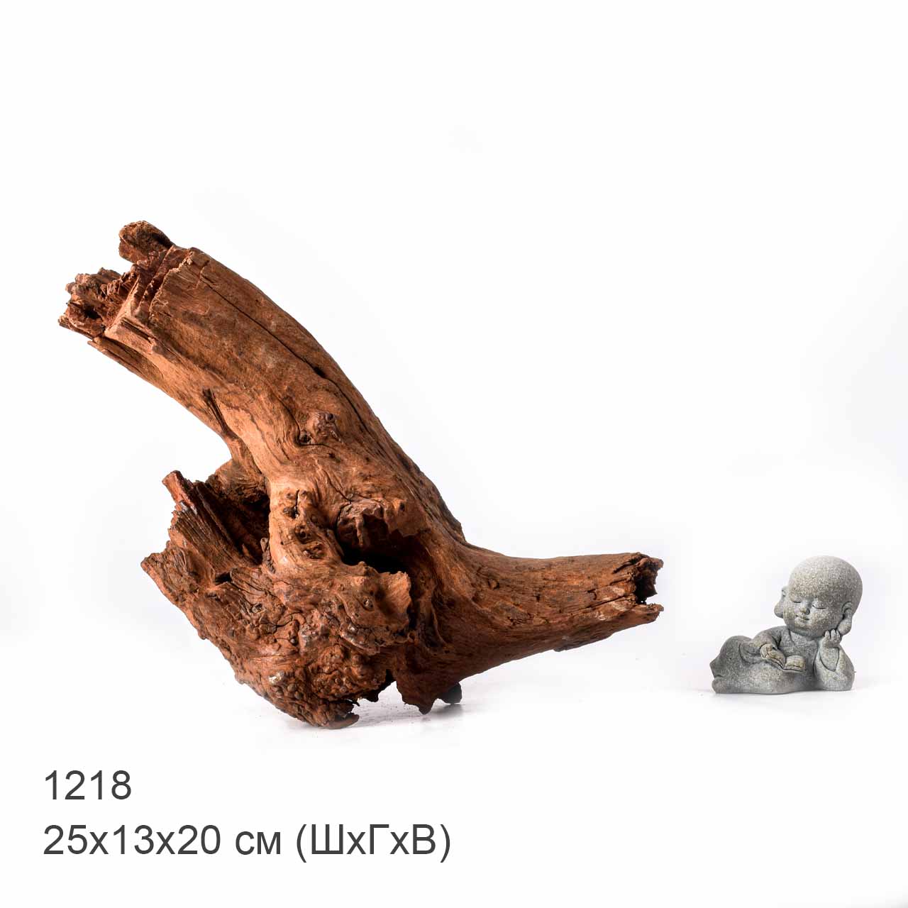 Коряга MASHA BLOOM "Железное дерево" затонувшая мангровая L - 1218