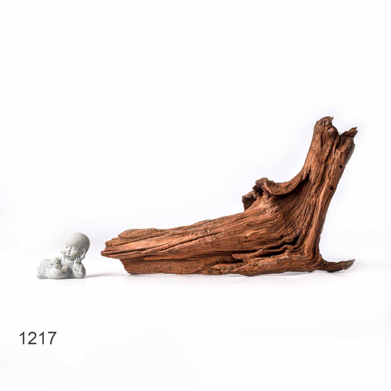 Коряга MASHA BLOOM "Железное дерево" затонувшая мангровая L - 1217