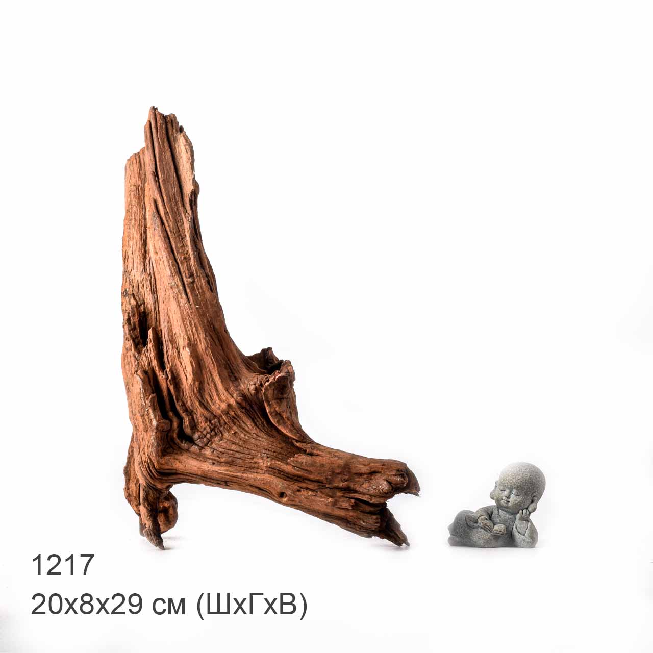 Коряга MASHA BLOOM "Железное дерево" затонувшая мангровая L - 1217