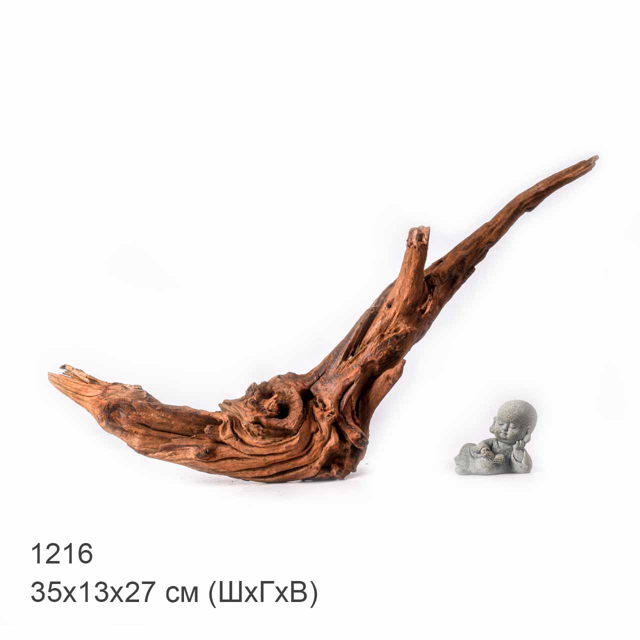 Коряга MASHA BLOOM "Железное дерево" затонувшая мангровая L - 1216