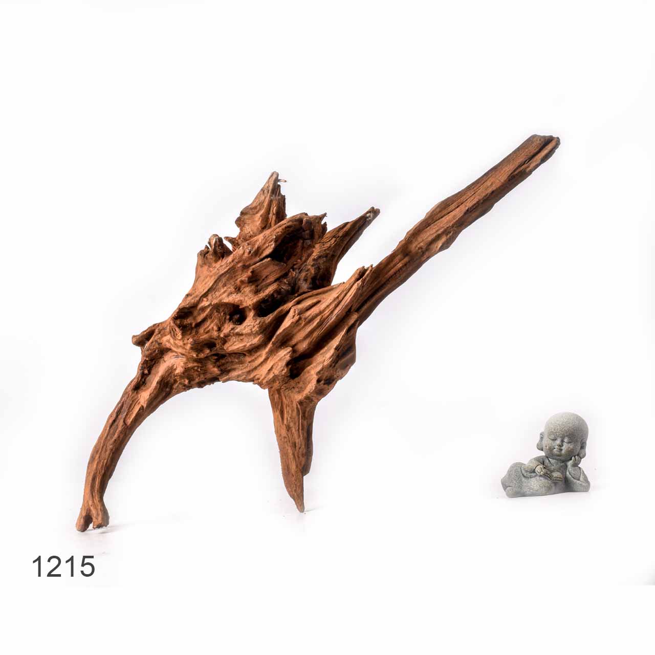 Коряга MASHA BLOOM "Железное дерево" затонувшая мангровая L - 1215