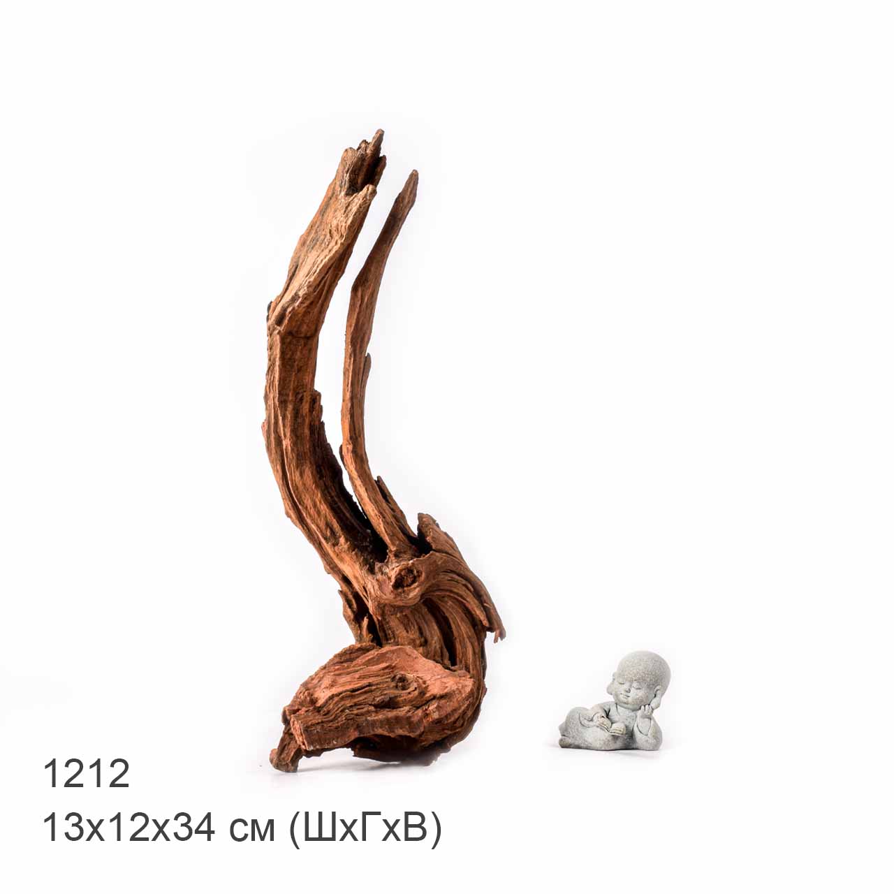 Коряга MASHA BLOOM "Железное дерево" затонувшая мангровая L - 1212
