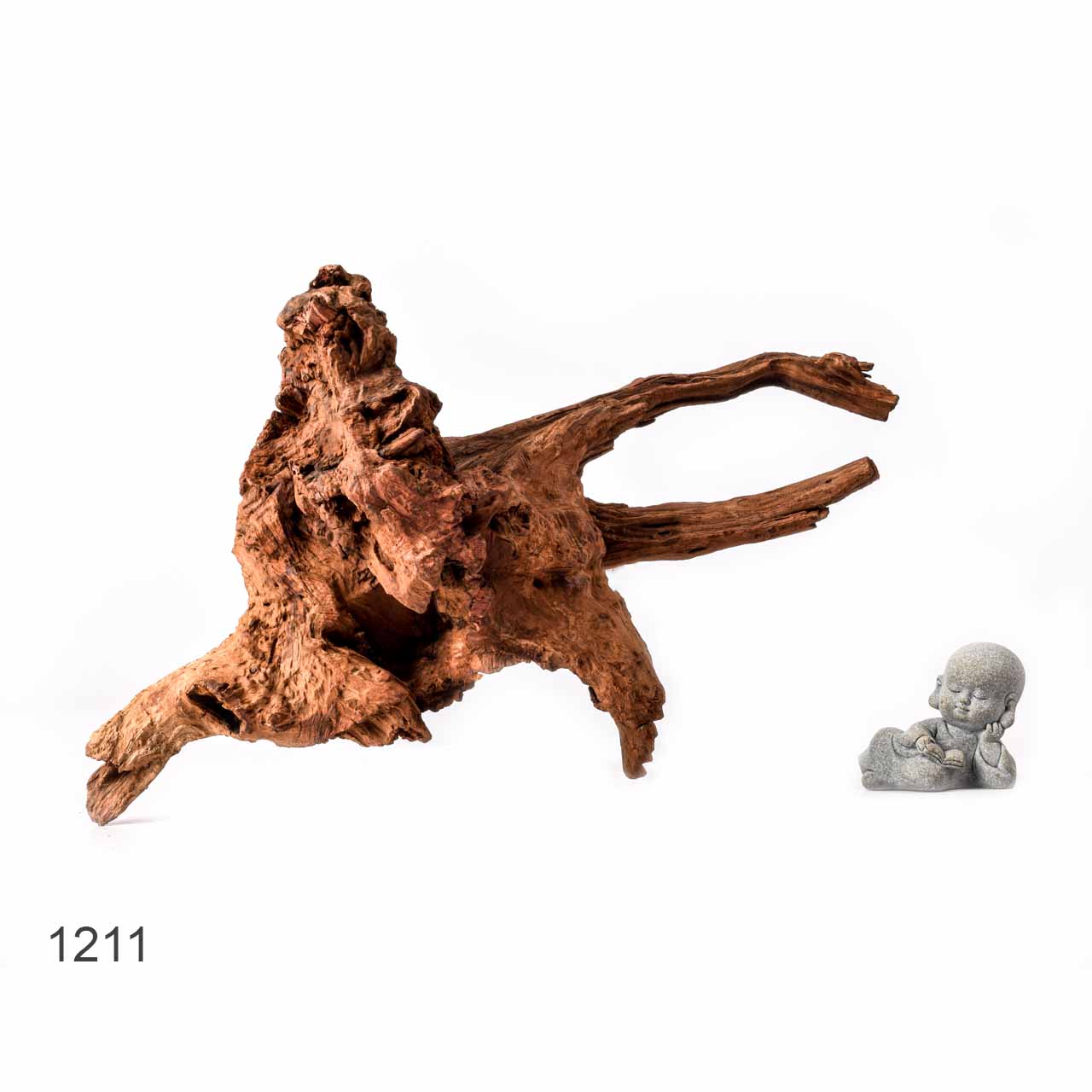 Коряга MASHA BLOOM "Железное дерево" затонувшая мангровая L - 1211