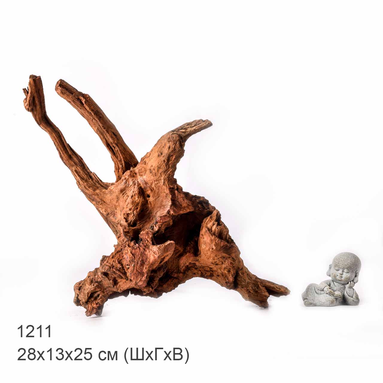 Коряга MASHA BLOOM "Железное дерево" затонувшая мангровая L - 1211