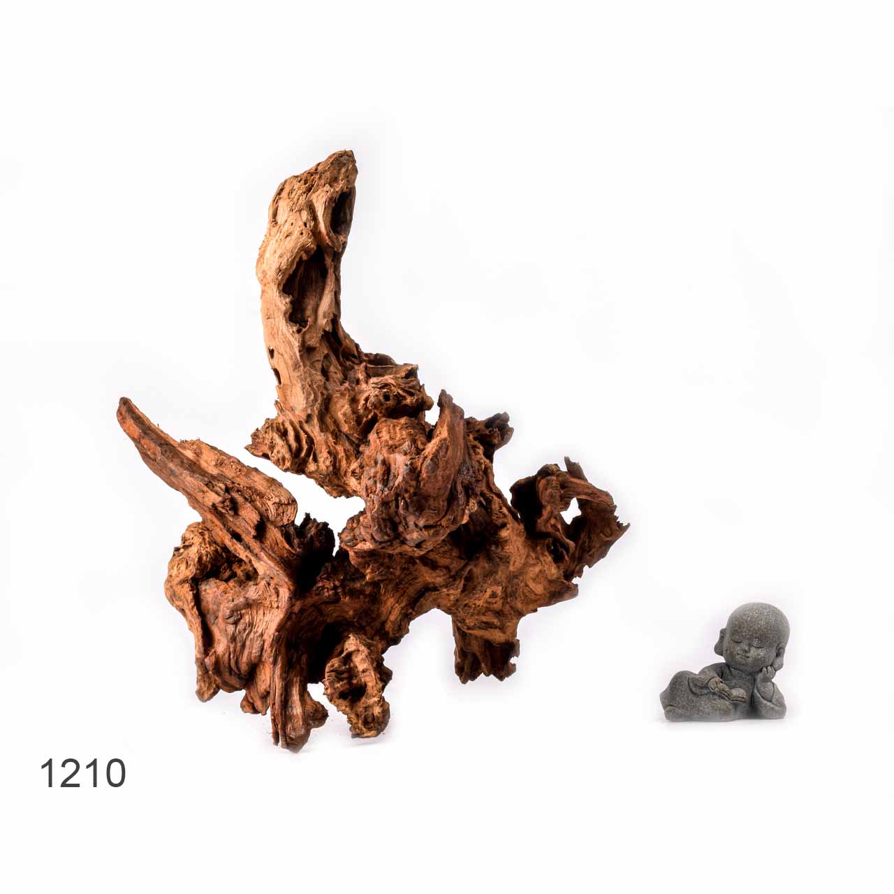 Коряга MASHA BLOOM "Железное дерево" затонувшая мангровая L - 1210