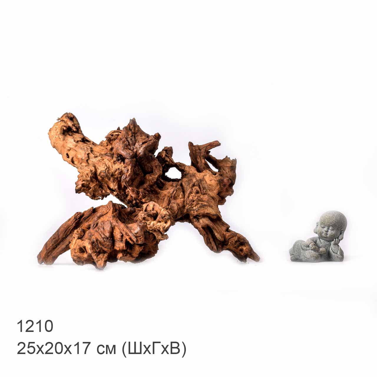 Коряга MASHA BLOOM "Железное дерево" затонувшая мангровая L - 1210