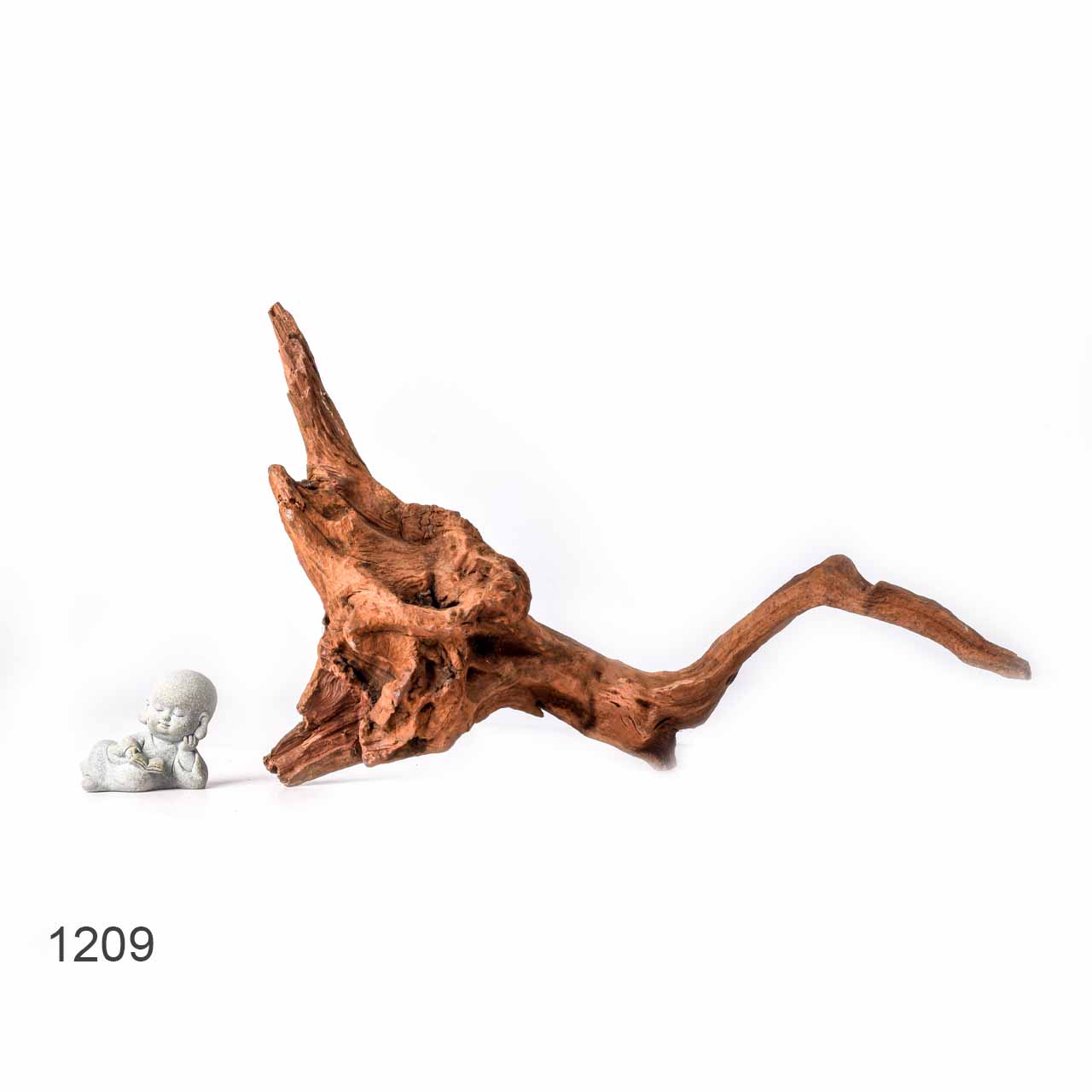 Коряга MASHA BLOOM "Железное дерево" затонувшая мангровая L - 1209