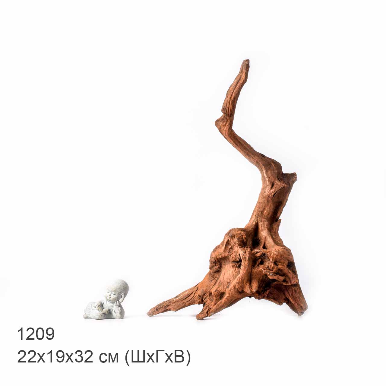 Коряга MASHA BLOOM "Железное дерево" затонувшая мангровая L - 1209