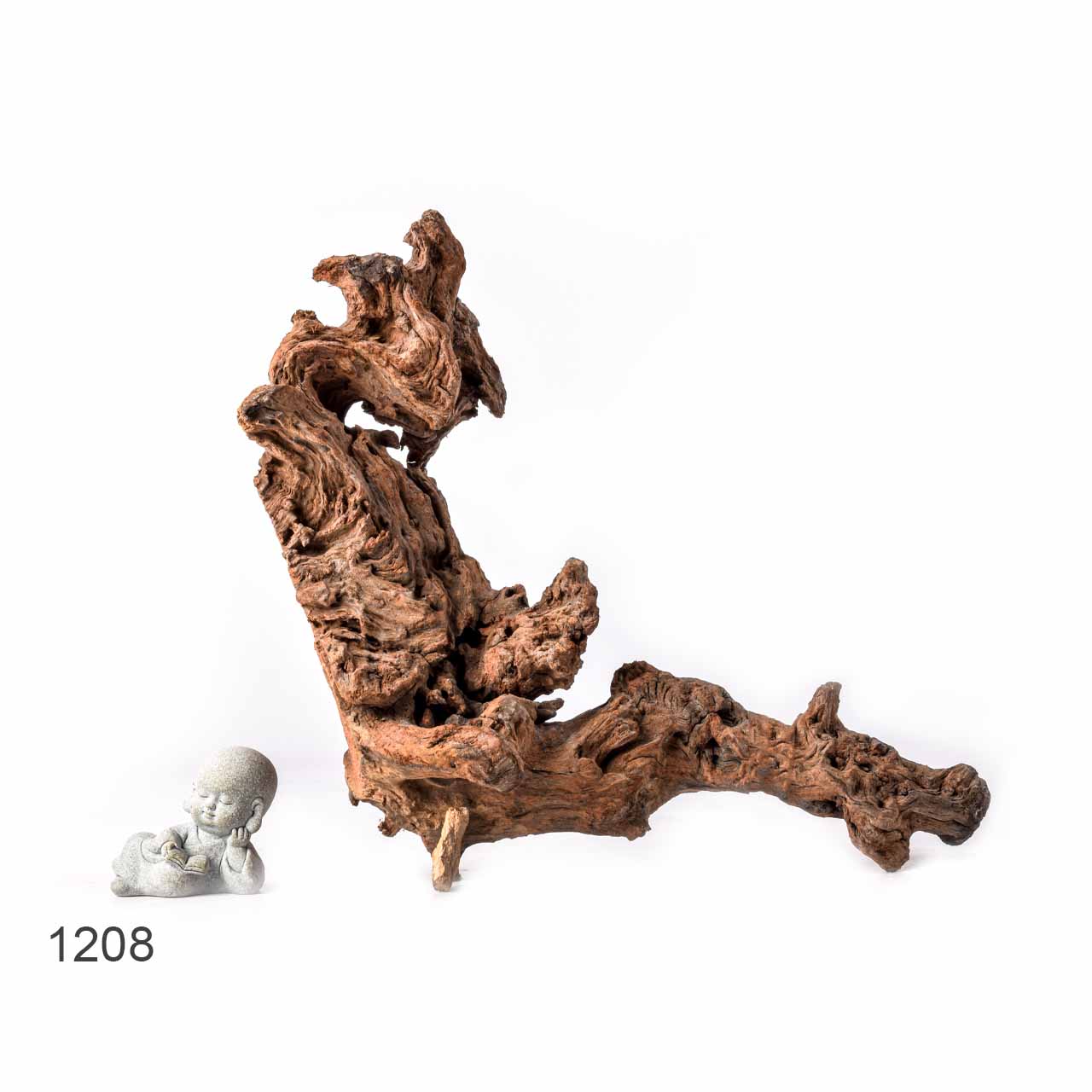 Коряга MASHA BLOOM "Железное дерево" затонувшая мангровая L - 1208