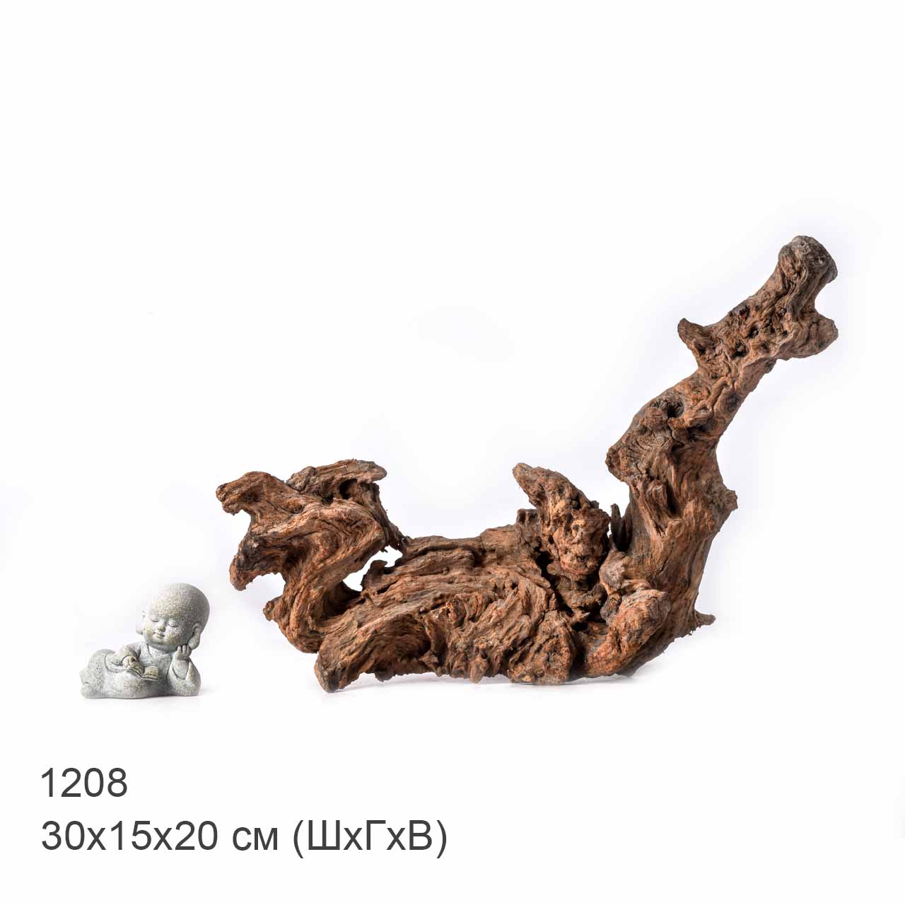 Коряга MASHA BLOOM "Железное дерево" затонувшая мангровая L - 1208