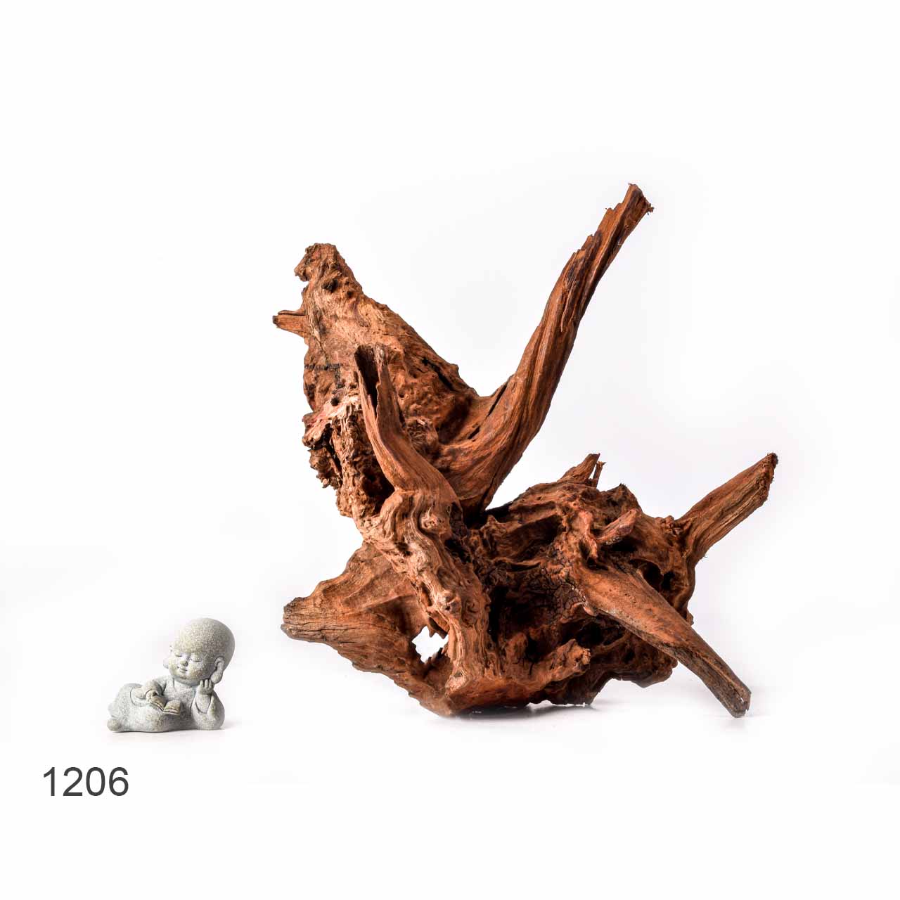 Коряга MASHA BLOOM "Железное дерево" затонувшая мангровая L - 1206