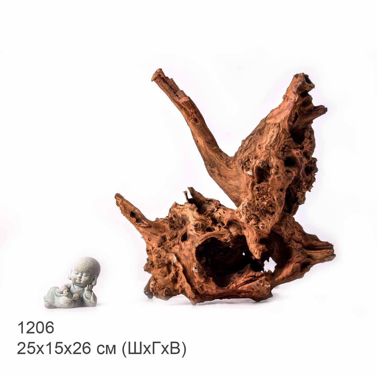 Коряга MASHA BLOOM "Железное дерево" затонувшая мангровая L - 1206