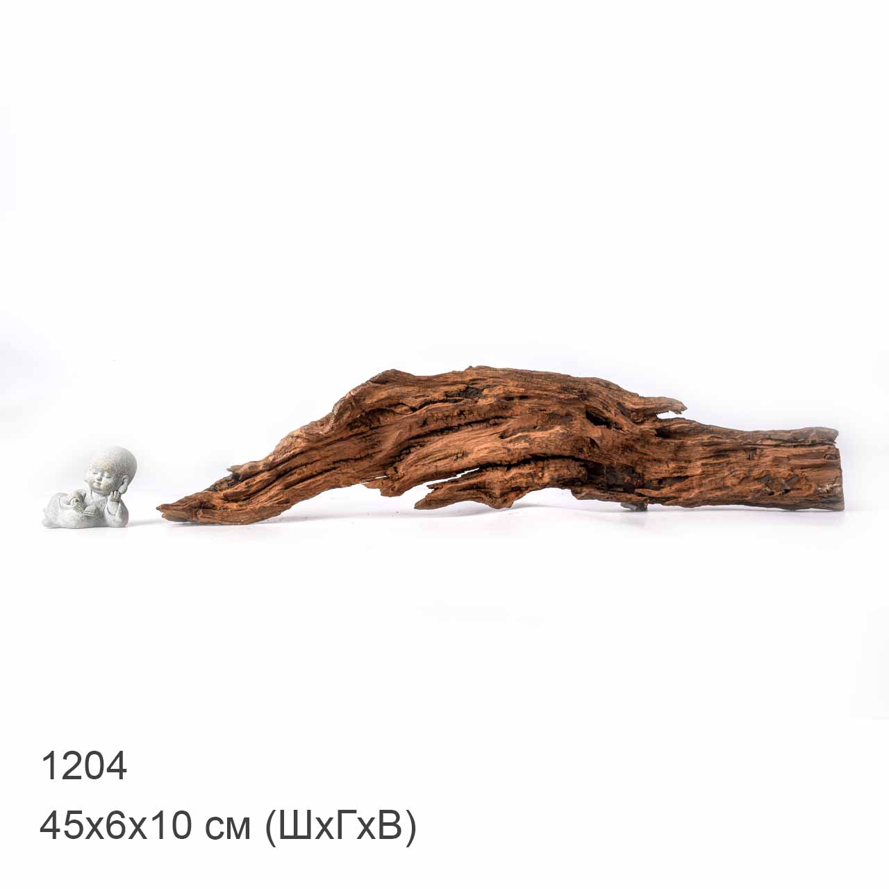 Коряга MASHA BLOOM "Железное дерево" затонувшая мангровая L - 1204