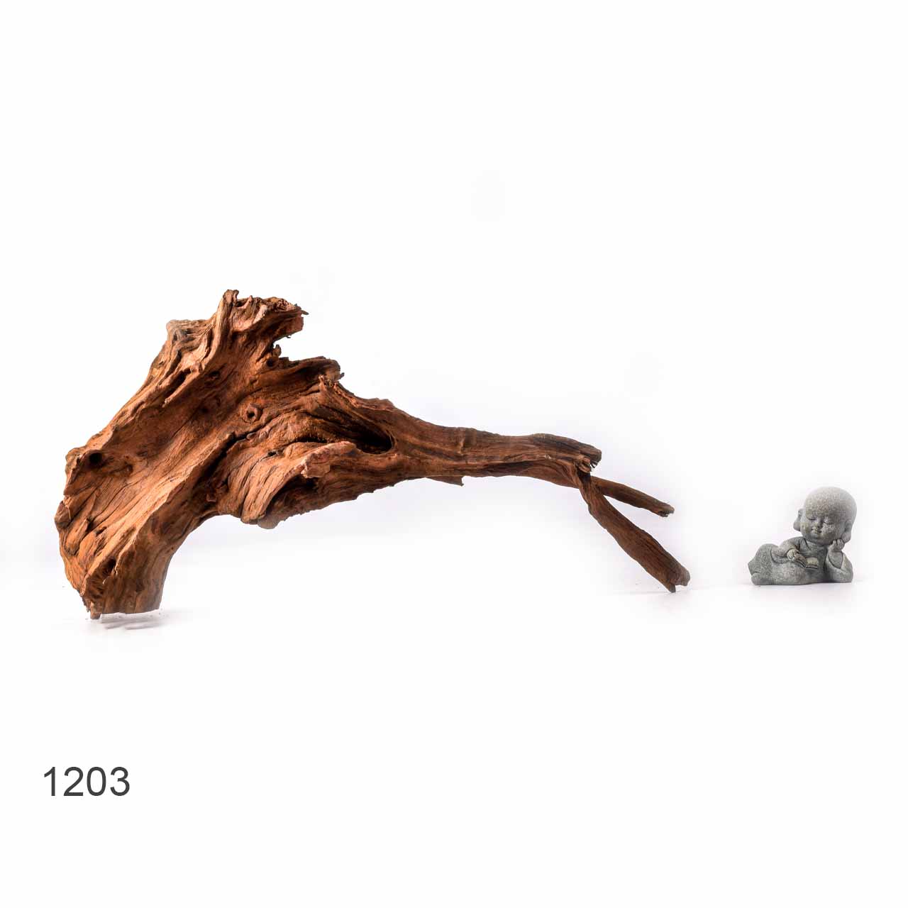 Коряга MASHA BLOOM "Железное дерево" затонувшая мангровая L - 1203