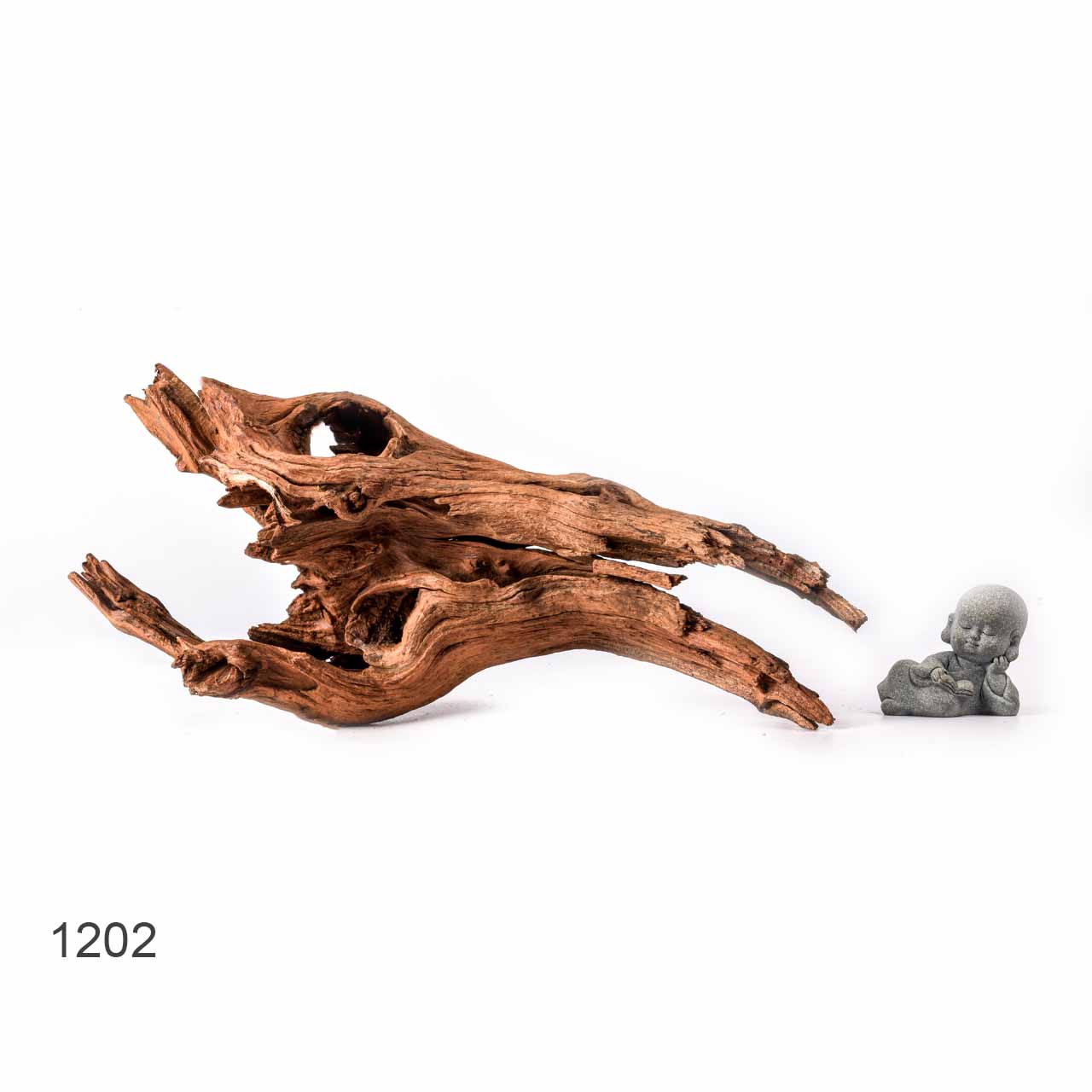 Коряга MASHA BLOOM "Железное дерево" затонувшая мангровая L - 1202