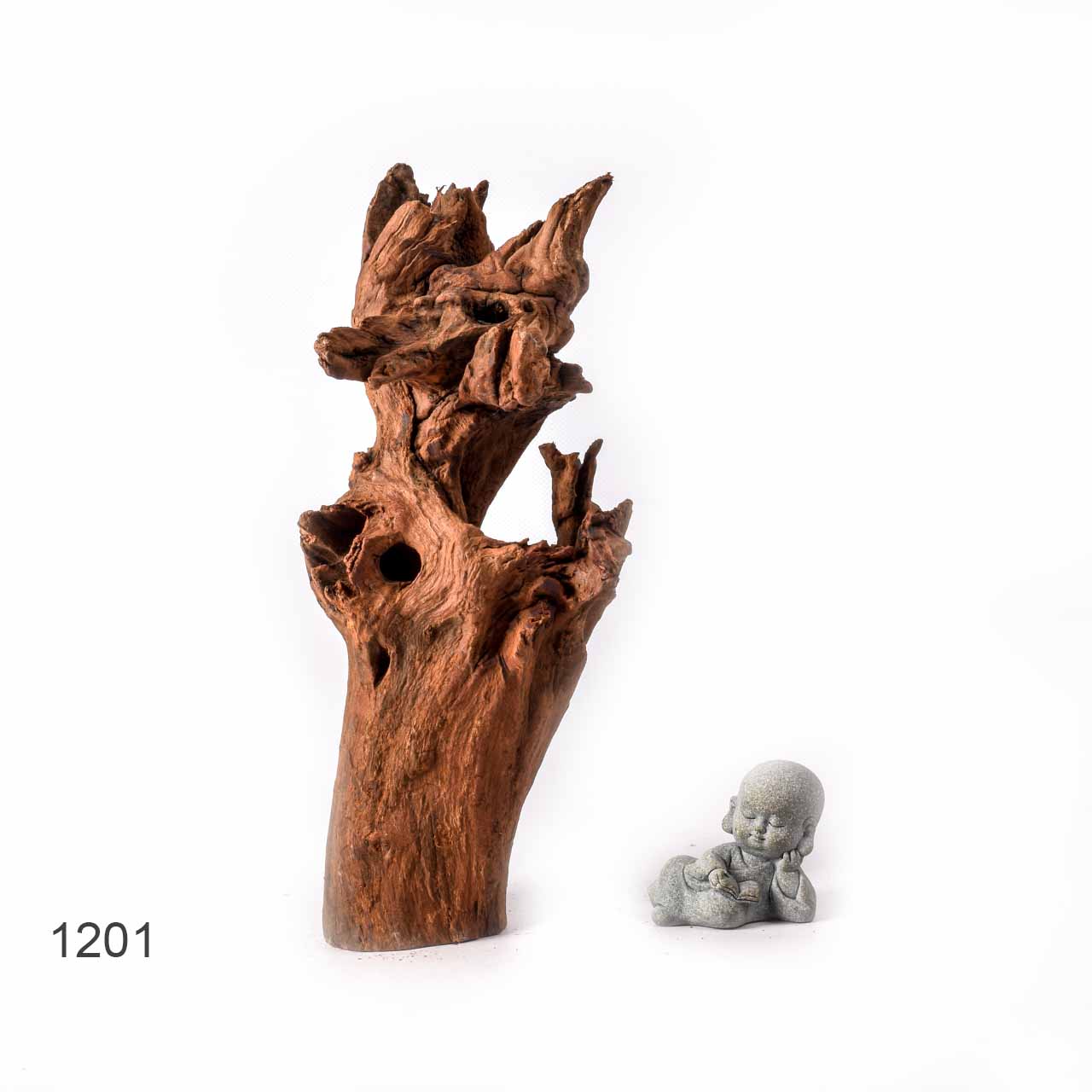 Коряга MASHA BLOOM "Железное дерево" затонувшая мангровая L - 1201