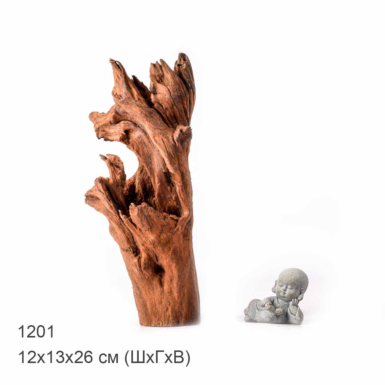 Коряга MASHA BLOOM "Железное дерево" затонувшая мангровая L - 1201