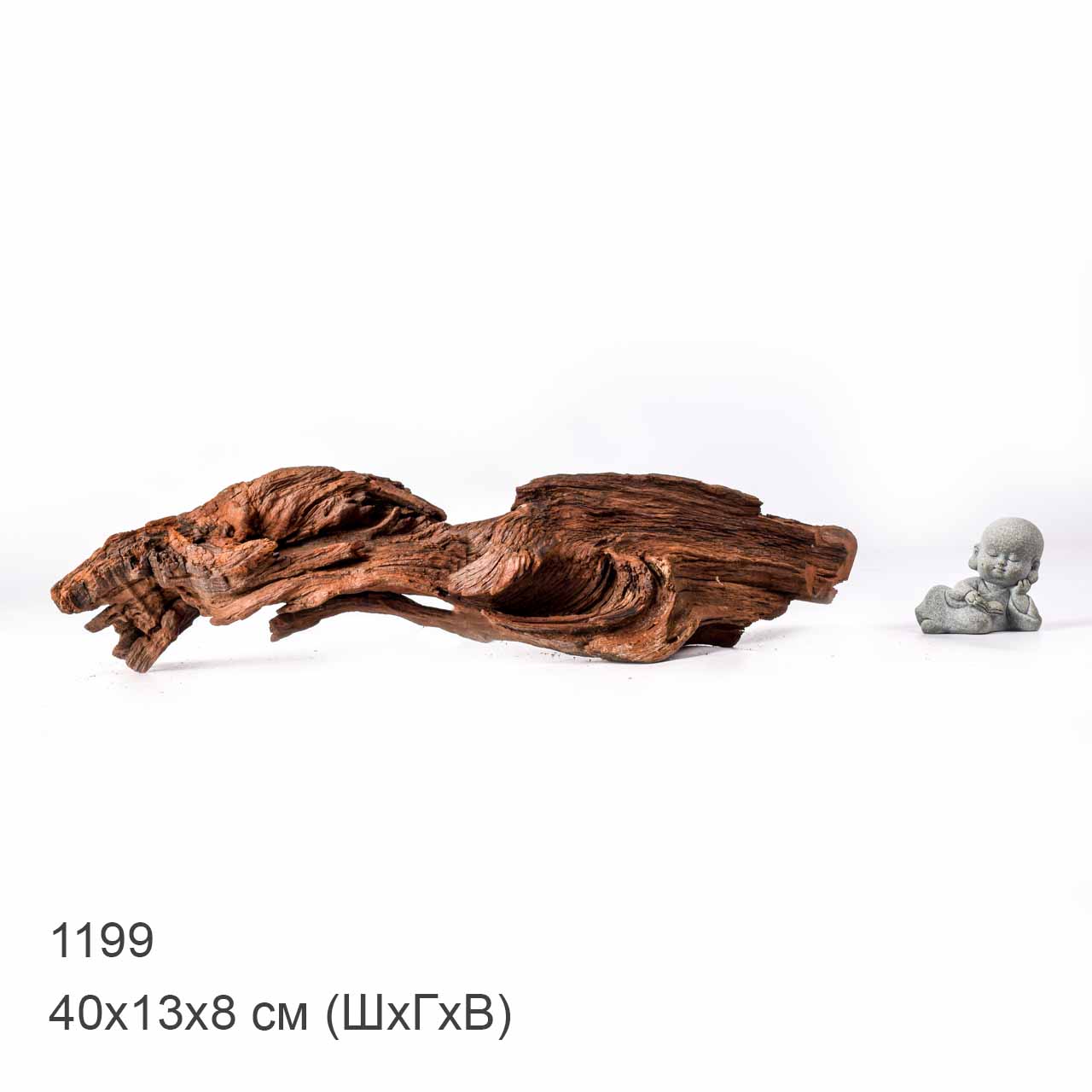 Коряга MASHA BLOOM "Железное дерево" затонувшая мангровая L - 1199