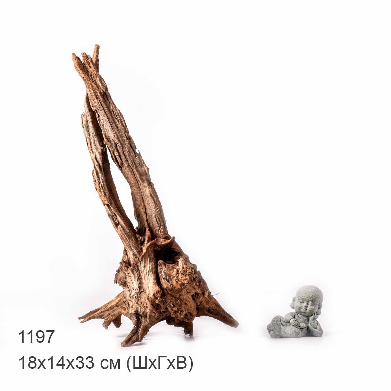 Коряга MASHA BLOOM "Железное дерево" затонувшая мангровая L - 1197