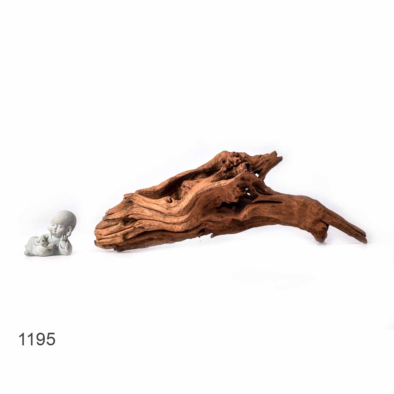 Коряга MASHA BLOOM "Железное дерево" затонувшая мангровая L - 1195