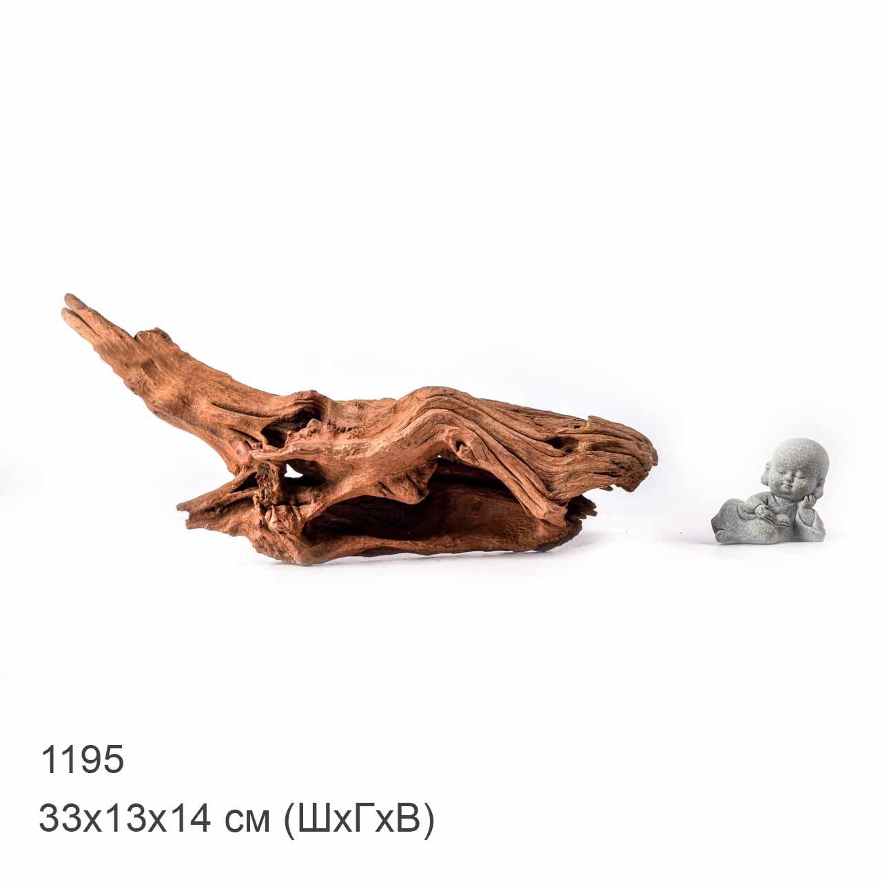 Коряга MASHA BLOOM "Железное дерево" затонувшая мангровая L - 1195