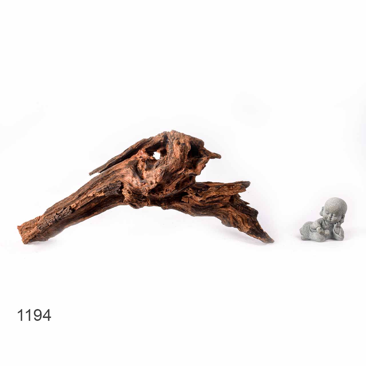 Коряга MASHA BLOOM "Железное дерево" затонувшая мангровая L - 1194