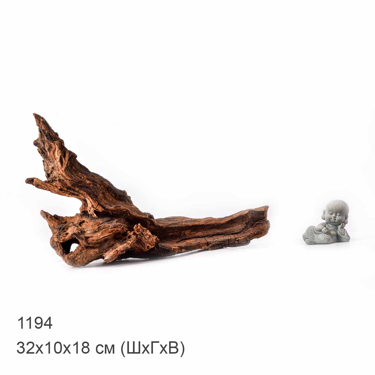 Коряга MASHA BLOOM "Железное дерево" затонувшая мангровая L - 1194