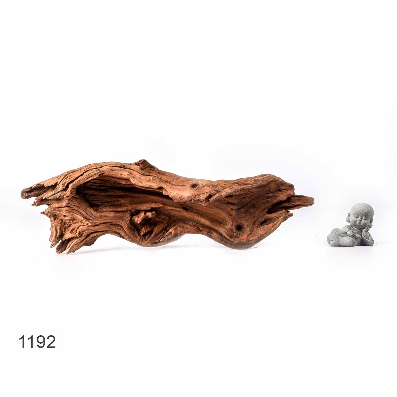 Коряга MASHA BLOOM "Железное дерево" затонувшая мангровая L - 1192