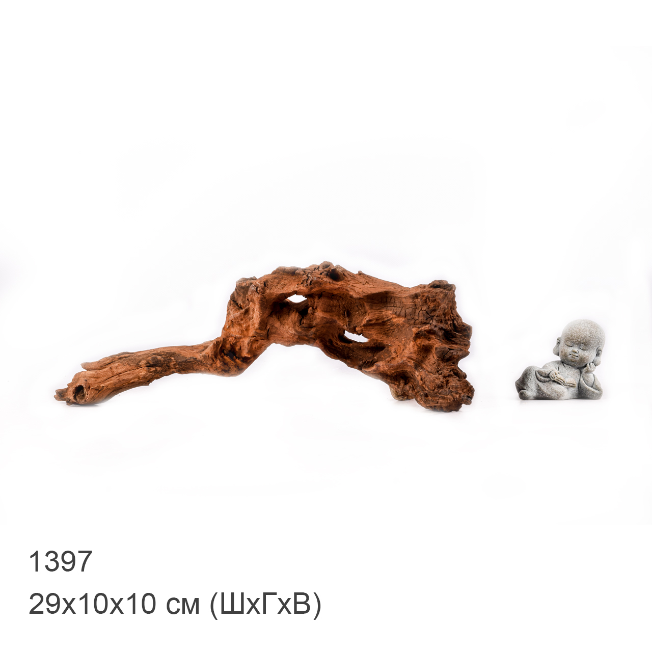 Коряга MASHA BLOOM "Железное дерево" затонувшая мангровая M - 1397